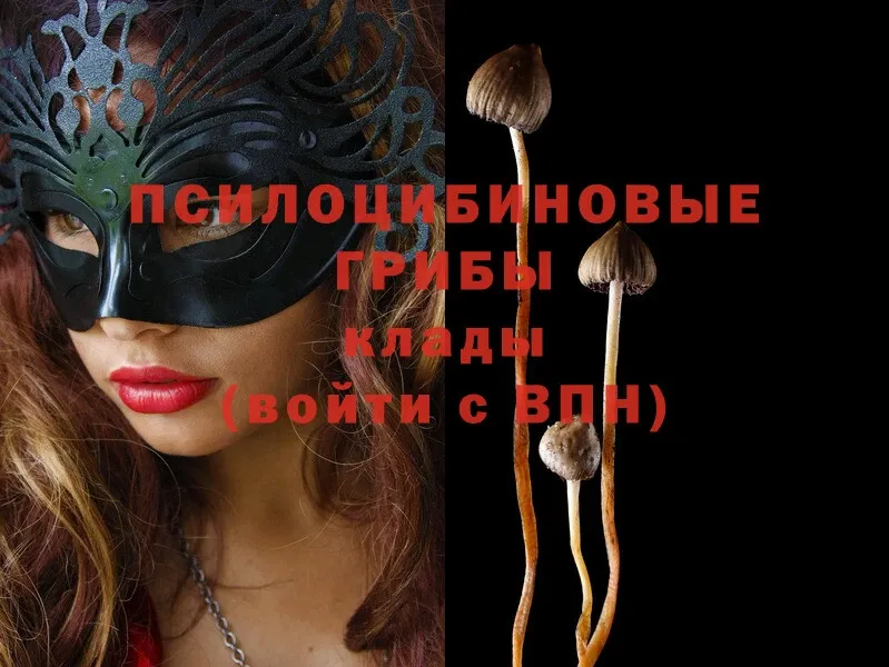 MEGA ссылка  где продают наркотики  Коломна  Псилоцибиновые грибы MAGIC MUSHROOMS 